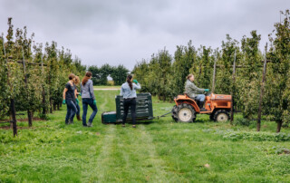 vrijwilligers tijdens de Laatste Pluk in de Hoeksche Waard met een kleine tractor