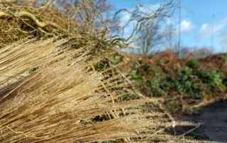 snoeiafval in groenbunker in Westmaas